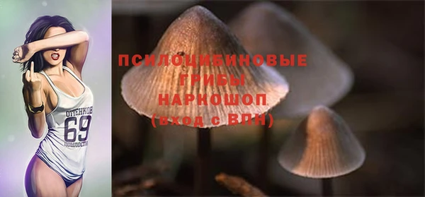 mdpv Баксан