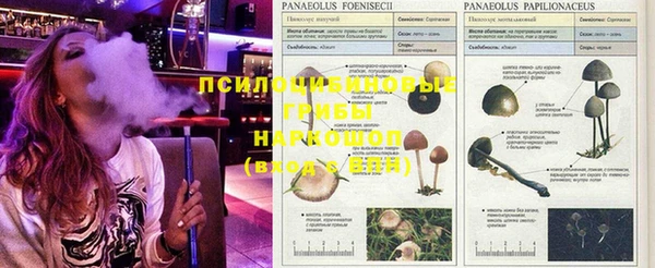 каннабис Балабаново