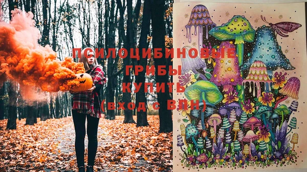 эйфоретик Балахна