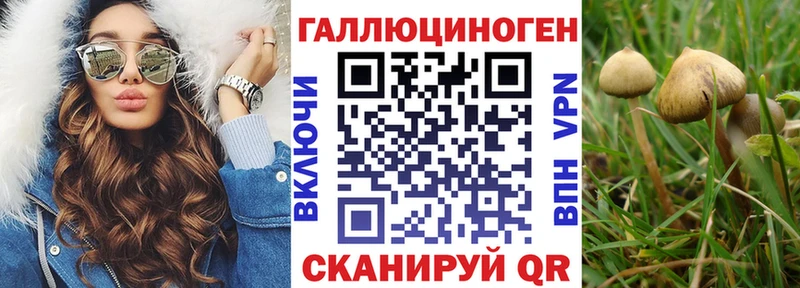 дарк нет какой сайт Малаховка Псилоцибиновые грибы GOLDEN TEACHER