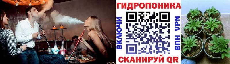 Марихуана конопля  Малаховка 